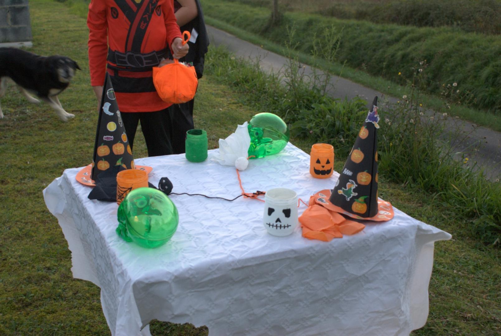 IMG-20241113-WA0011.jpg